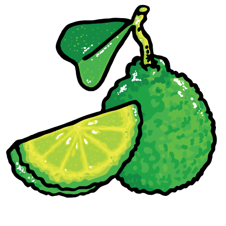Zitrone & Limette