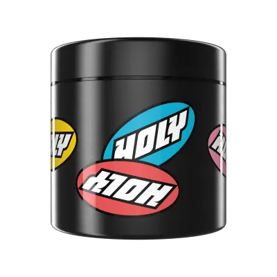 HOLY Logo