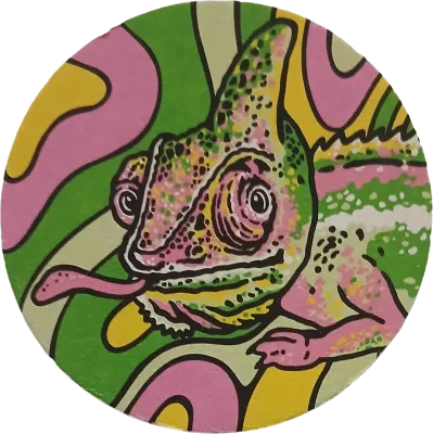 Lemon Lizard