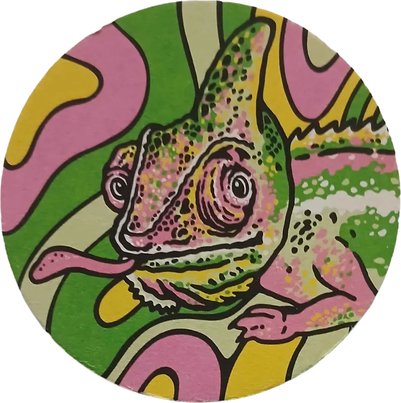  Lemon Lizard