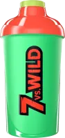 HOLY x 7 vs. Wild Shaker (2024)