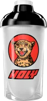 #18 - Cheetah