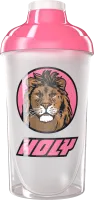 #07 - Lion