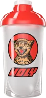 #18 - Cheetah