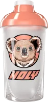 #42 - Koala